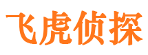 泾阳侦探调查公司